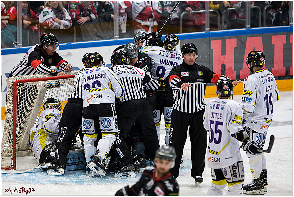 Koelner Haie - Krefelder Pinguine, 22.11.2016